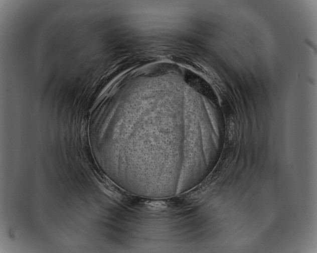 X0000091230409200709061523