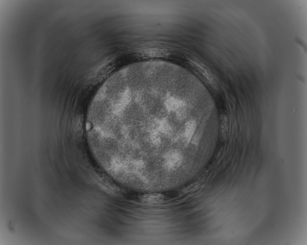 X0000091230410200709061523