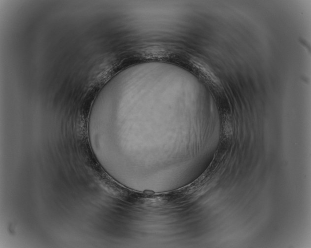 X0000091230411200709061523