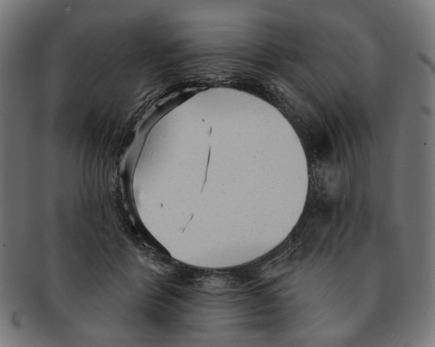 X0000091230412200709061523