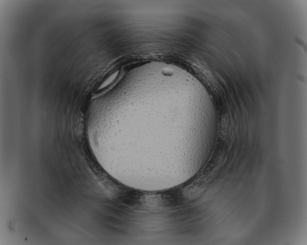 X0000091230413200709061523