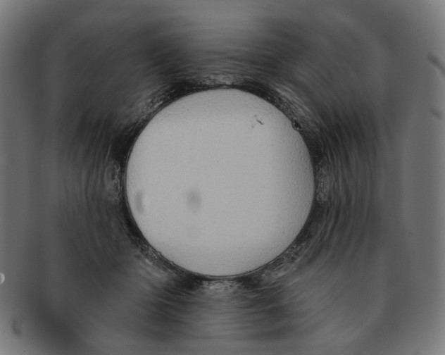X0000091230414200709061523