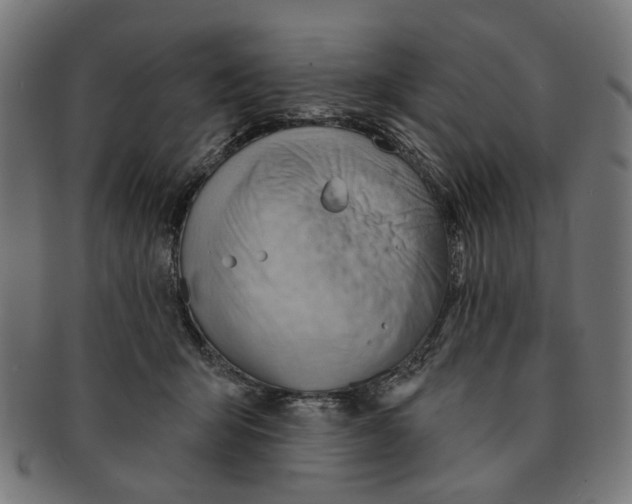 X0000091230415200709061523