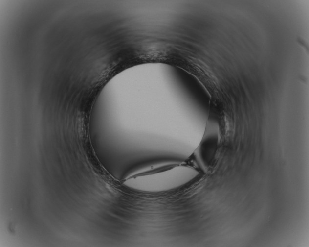 X0000091230416200709061523