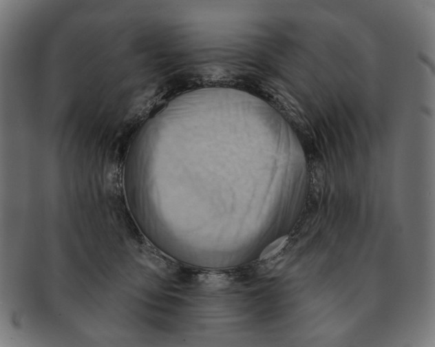 X0000091230419200709061523