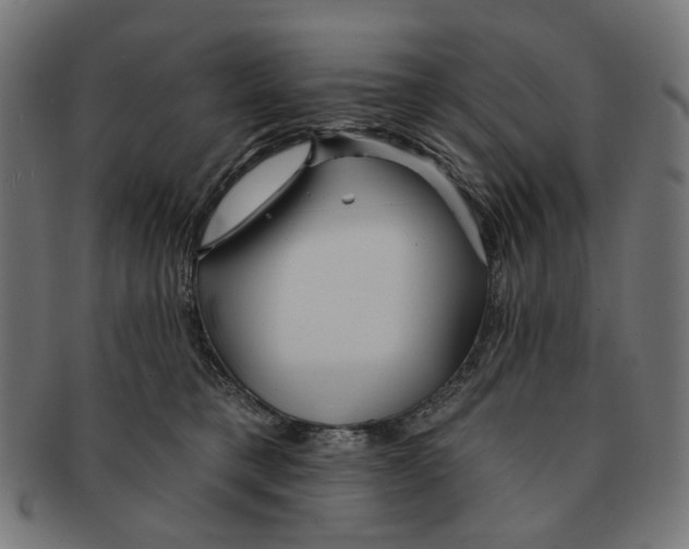 X0000091230421200709061523