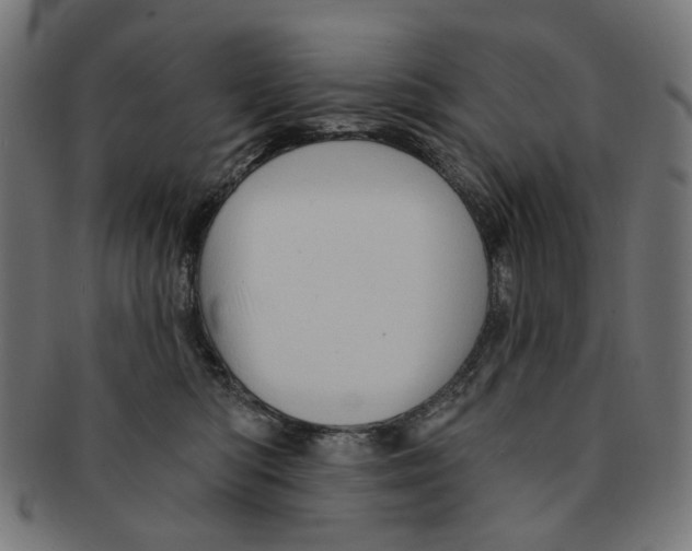 X0000091230422200709061523