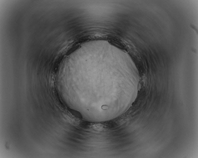 X0000091230423200709061523