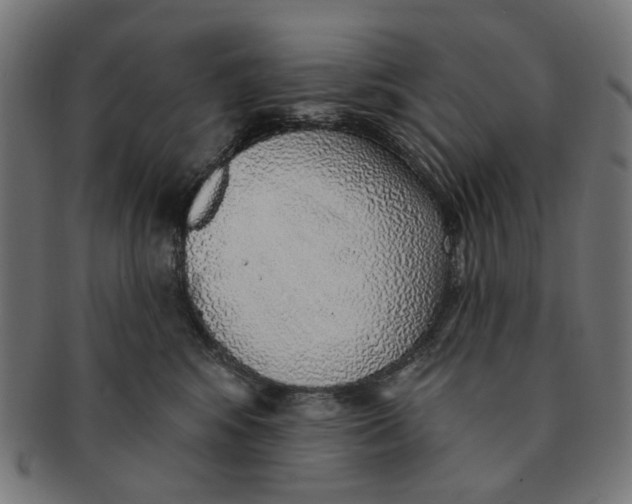 X0000091230424200709061523