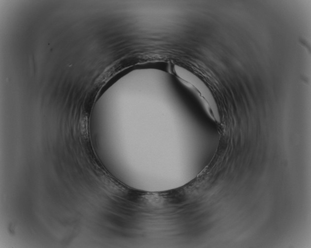 X0000091230425200709061523