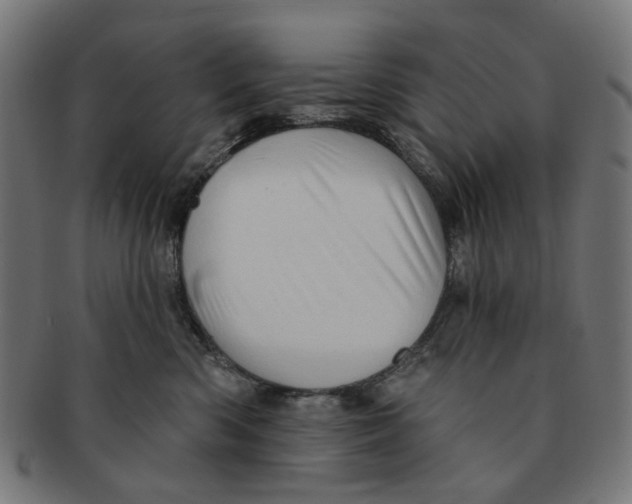 X0000091230426200709061523