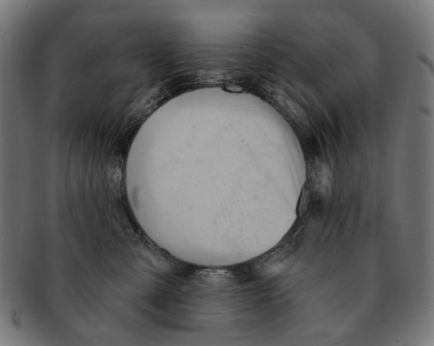 X0000091230427200709061523