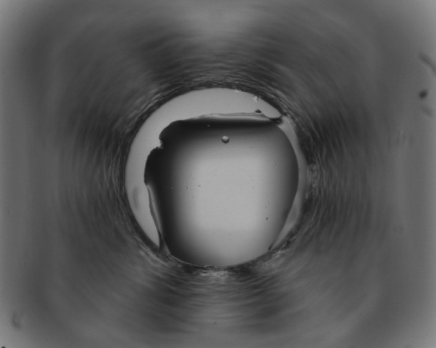 X0000091230428200709061523