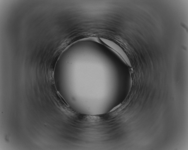 X0000091230429200709061523