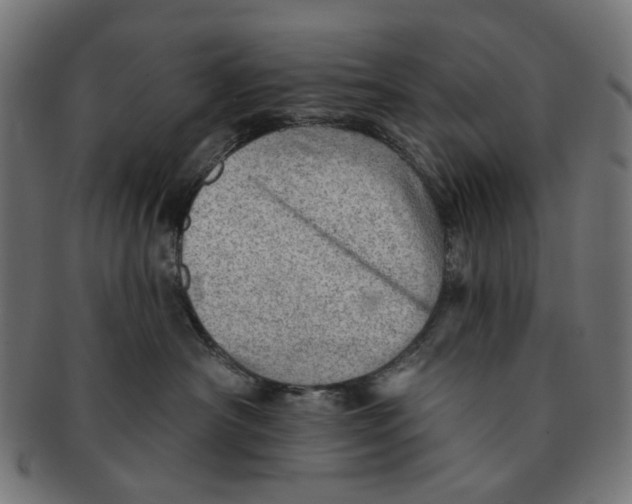 X0000091230430200709061523