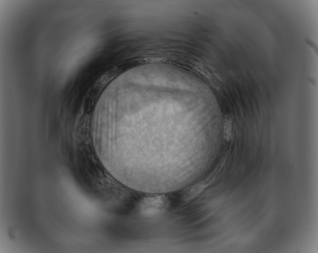 X0000091230431200709061523