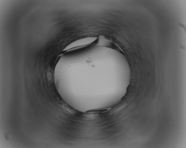 X0000091230432200709061523