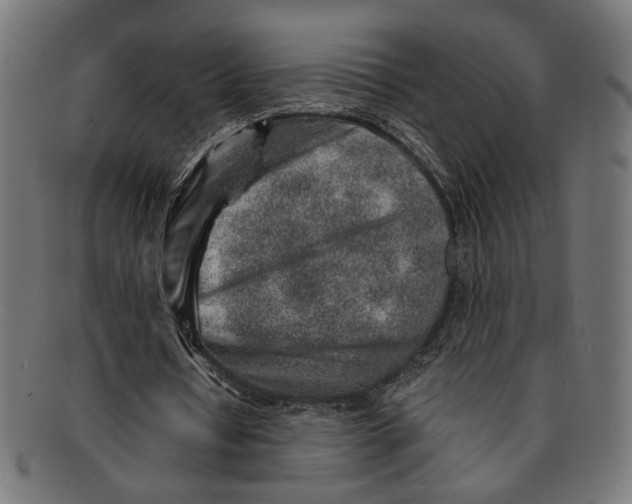 X0000091230434200709061522