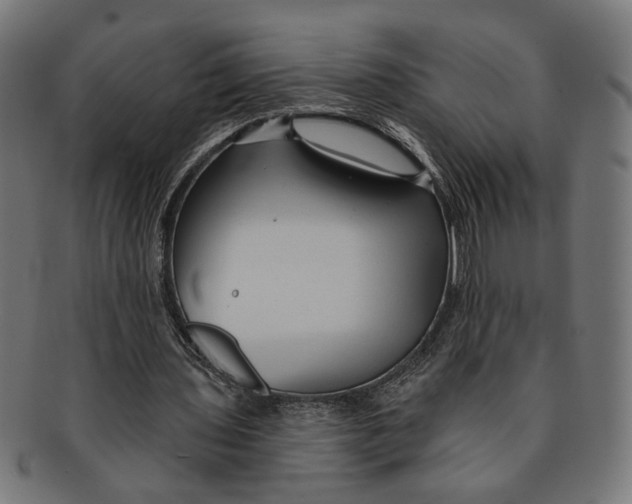 X0000091230435200709061522