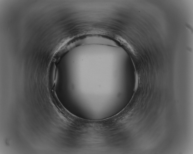 X0000091230436200709061522
