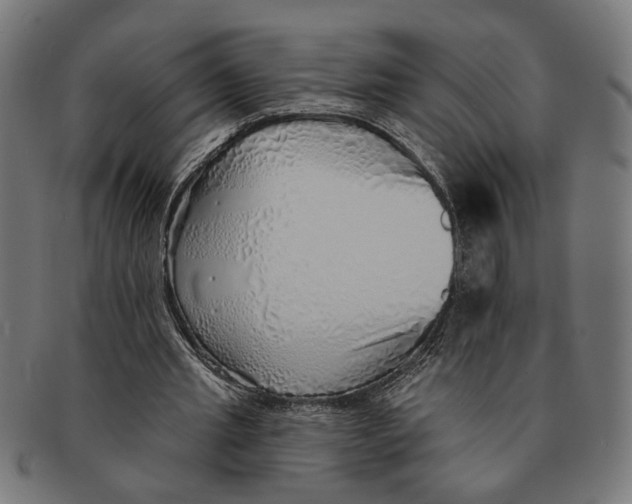 X0000091230437200709061522