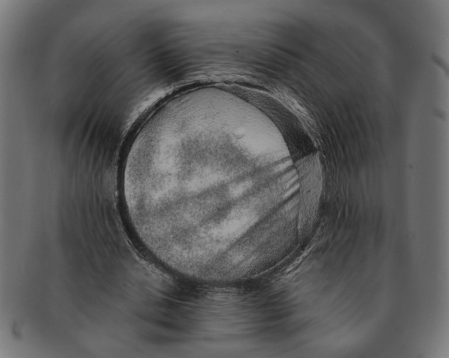 X0000091230438200709061522