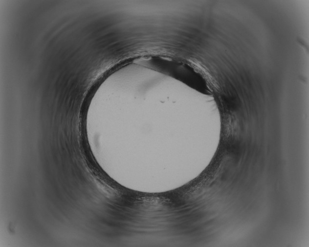 X0000091230439200709061522