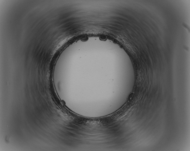 X0000091230440200709061522