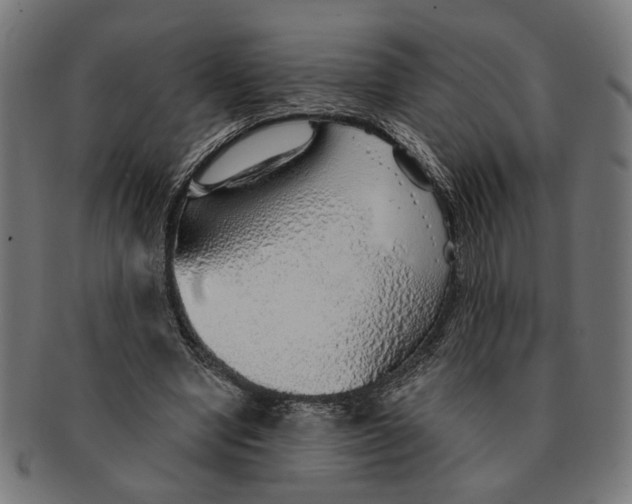 X0000091230442200709061522