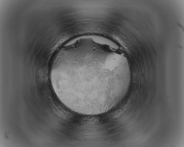 X0000091230443200709061522