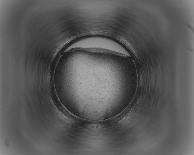 X0000091230444200709061522