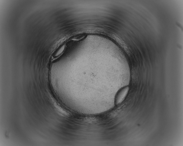 X0000091230445200709061523
