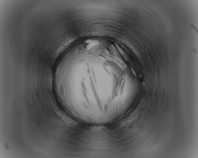 X0000091230446200709061523