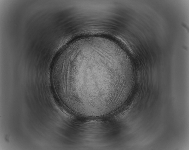 X0000091230447200709061523