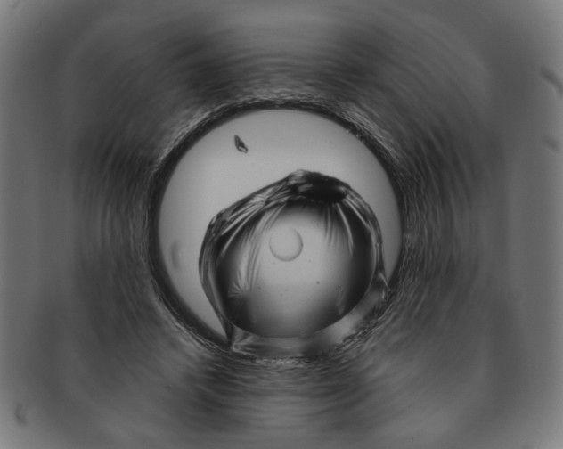 X0000091230448200709061523