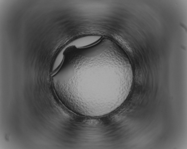 X0000091230449200709061523