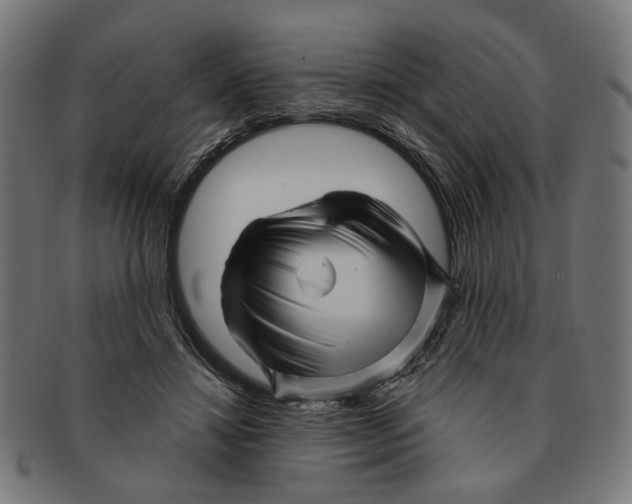 X0000091230452200709061523