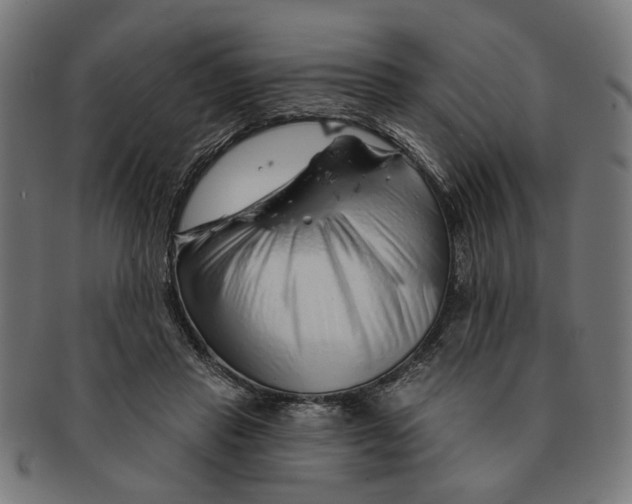 X0000091230453200709061523