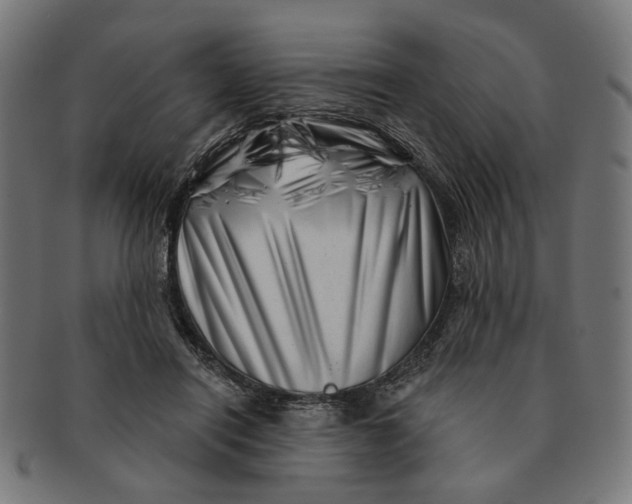 X0000091230454200709061523