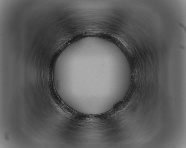 X0000091230455200709061523