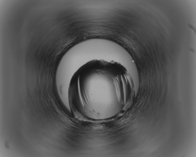 X0000091230456200709061523