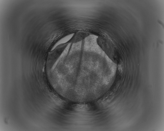 X0000091230458200709061523