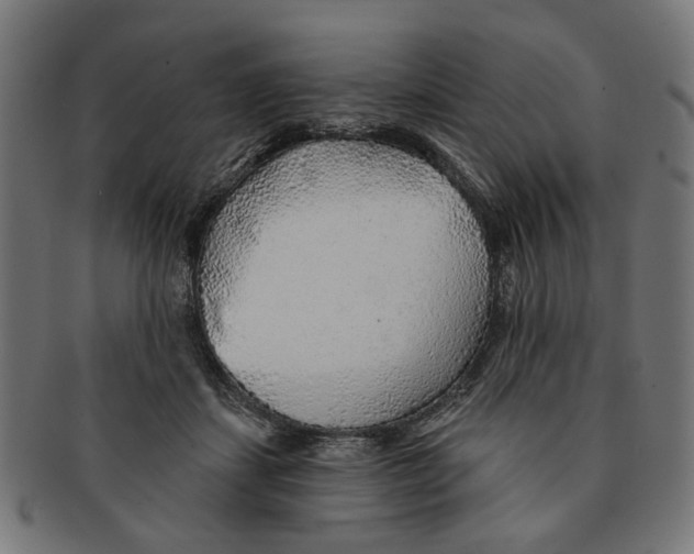 X0000091230459200709061523