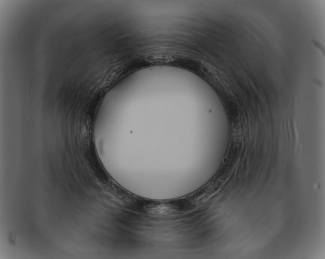 X0000091230460200709061523