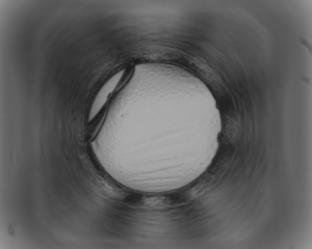 X0000091230461200709061523
