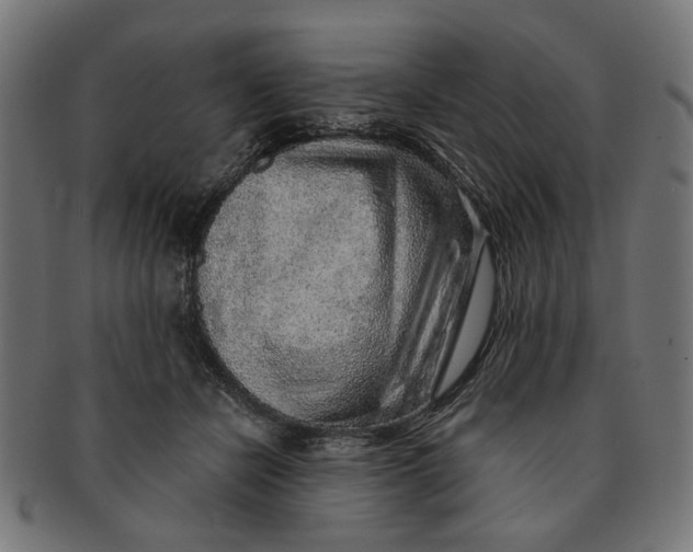 X0000091230462200709061523