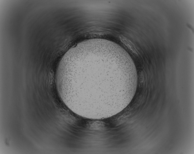X0000091230463200709061523