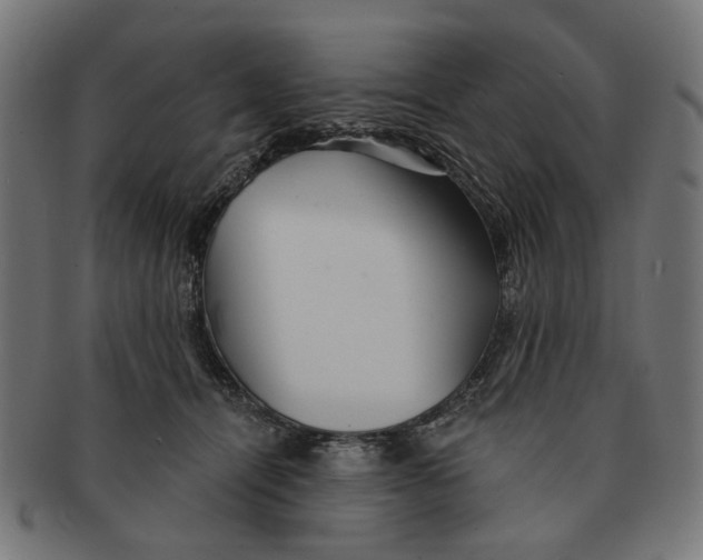 X0000091230464200709061523