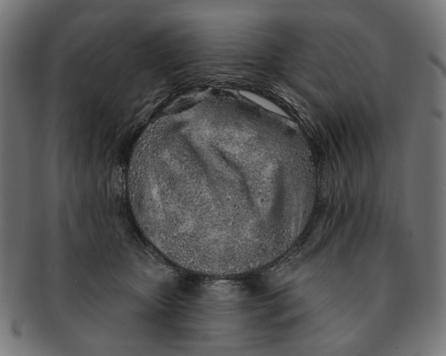 X0000091230467200709061523