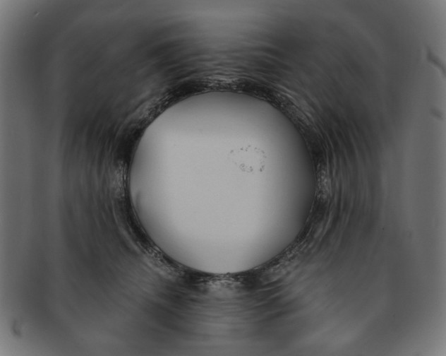 X0000091230468200709061523